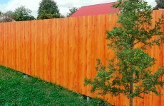 Забор из профнастила под дерево