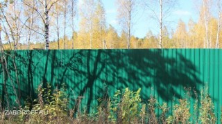 Забор из профнастила