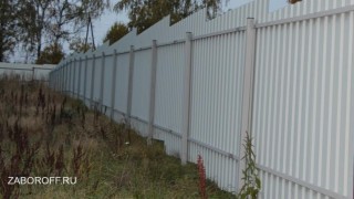 Забор из профнастила
