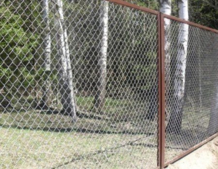 Заборы из сетки рабицы