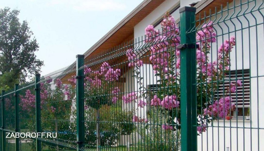 Фото забора 2