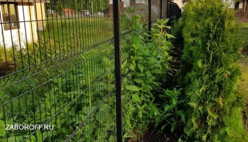 Фото забора 4